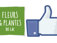 Fleurs et plantes du lac sur Facebook !